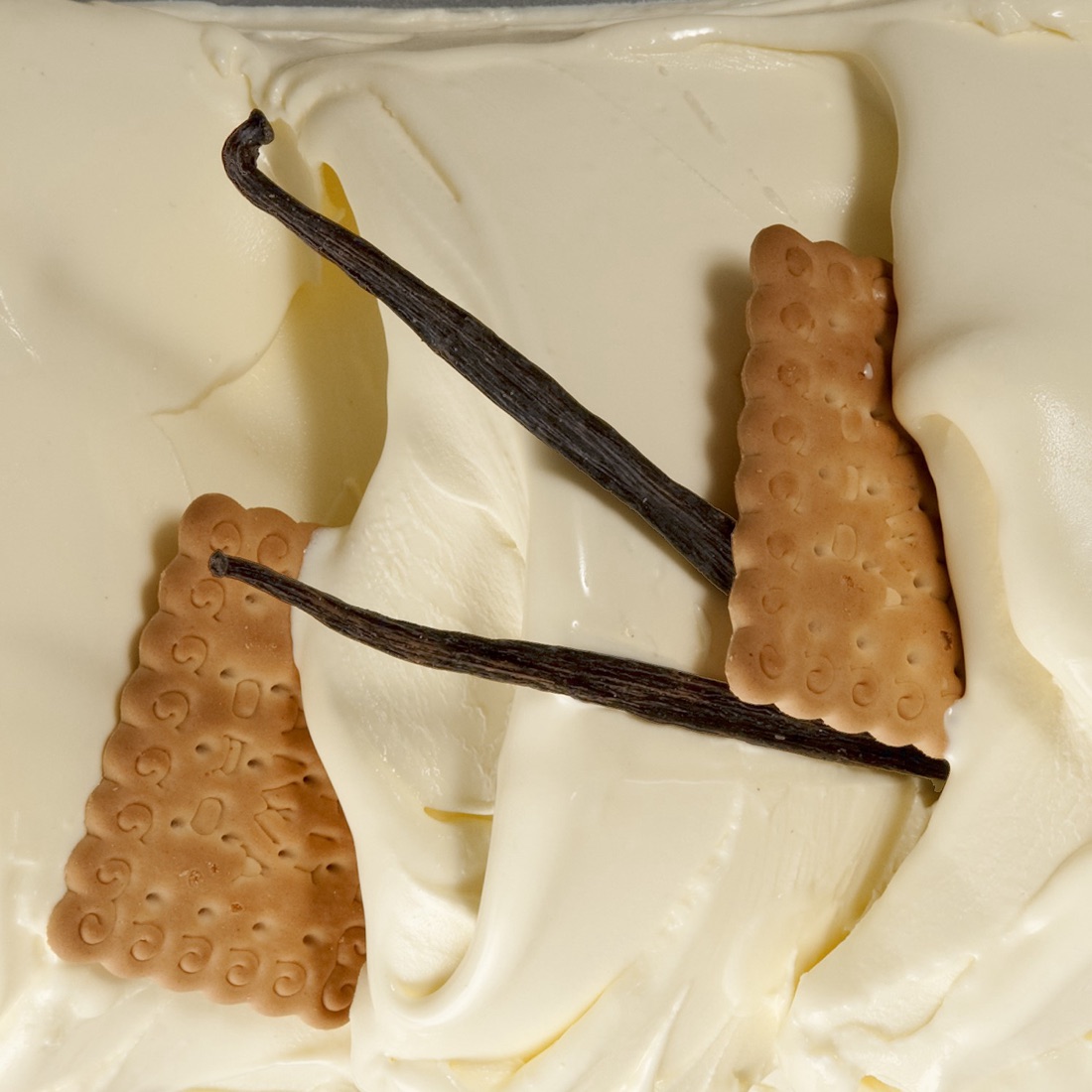 Macro del gelato alla vaniglia Sciurì, crema chiara con bacca di vaniglia